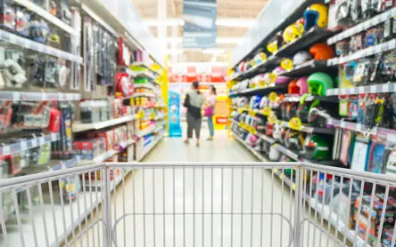 Motor Accessory Stores 